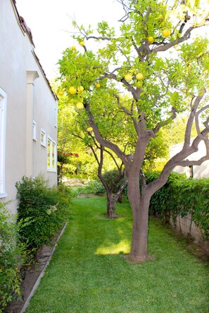 Áreas de la propiedad