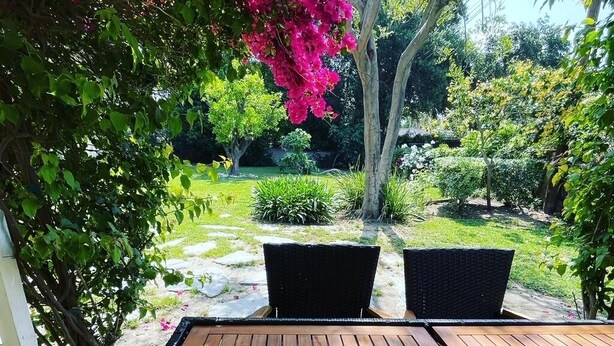 Een houten terras met twee rieten stoelen gericht op een tuin met een bloeiende roze boom en verschillende struiken.