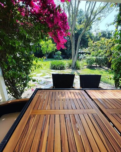 429.00 Nightly March Rate! Charming Historic Highlands Home in Pasadena! 