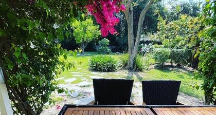 429.00 Nightly March Rate! Charming Historic Highlands Home in Pasadena!