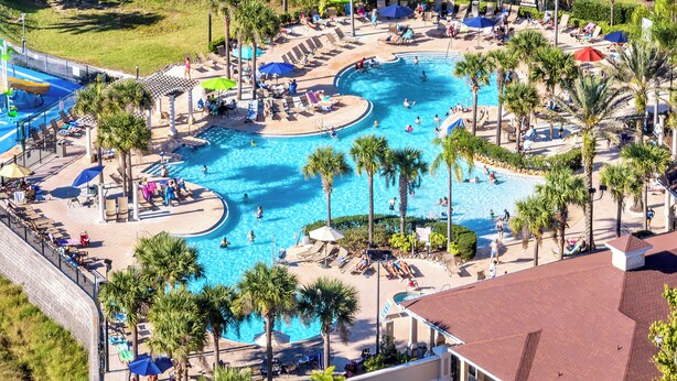 A large outdoor swimming pool surrounded by lounge chairs and umbrellas, with palm trees and a brick wall in the background.