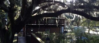 Multi level Swiss family Robinson Treehouse