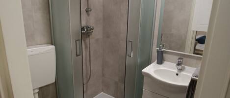 Un baño con ducha envuelta en vidrio, un inodoro, un lavabo y un espejo.