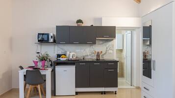Fridge, stovetop, toaster, cookware/dishes/utensils