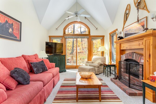 Smart TV, fireplace, books