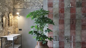 A bathroom with a stone wall, a white sink, a potted plant, and a shower with red and gray tiles. - Isonzo Suites (Syracuse)