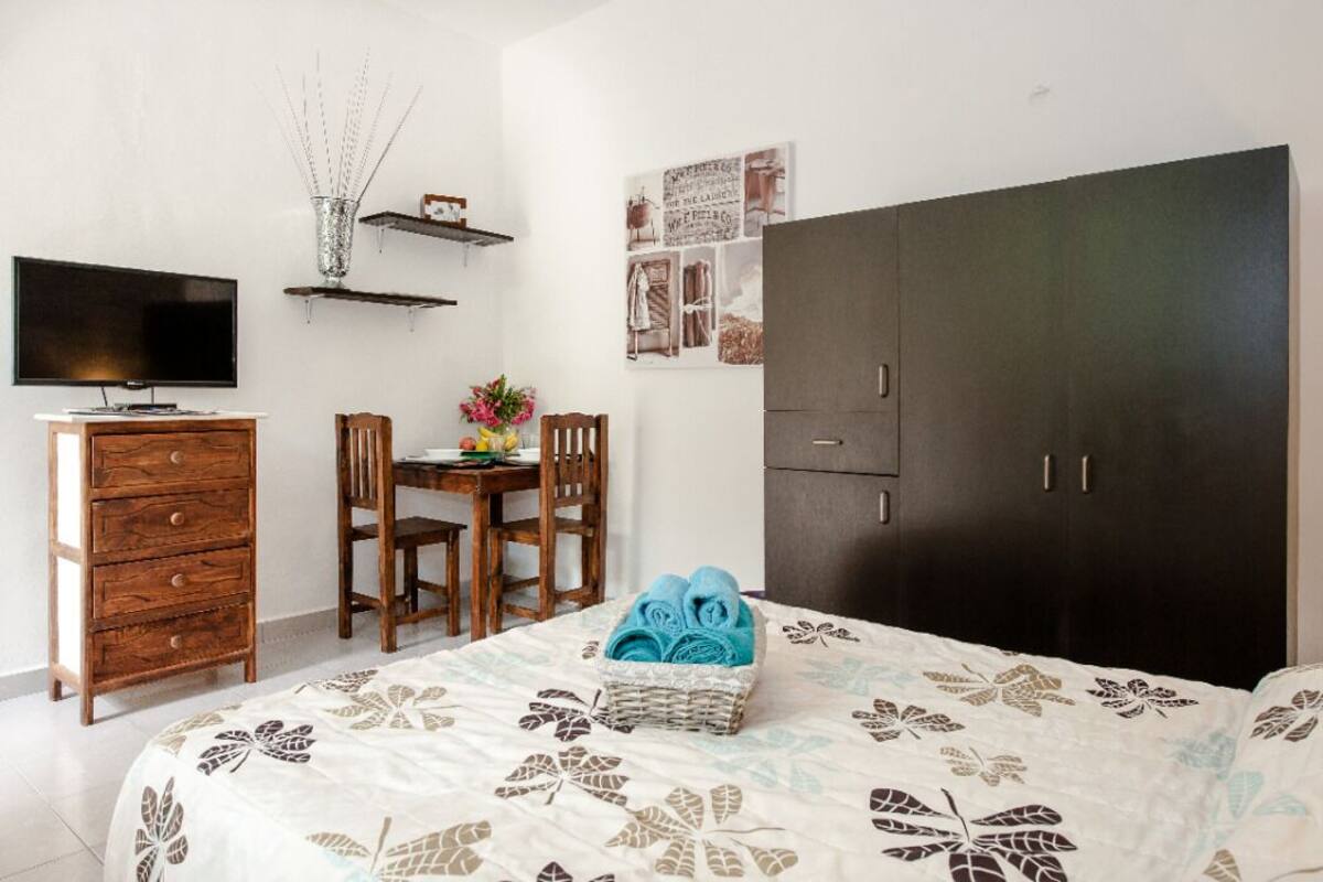 Classic Studio | Minibar, iron/ironing board, WiFi (free), bed sheets
