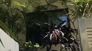 Unclassified image, 5 of 61, button - La Fortaleza (Playa del Carmen)