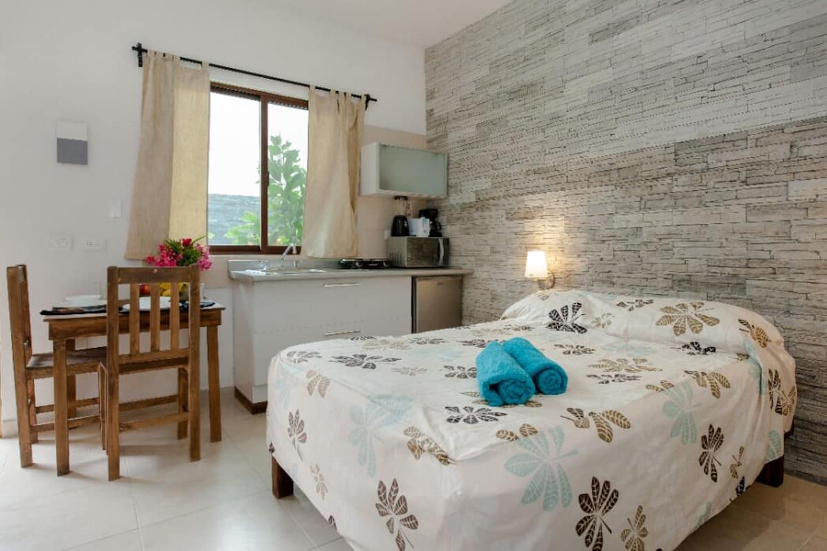 Classic Studio | Minibar, iron/ironing board, WiFi (free), bed sheets