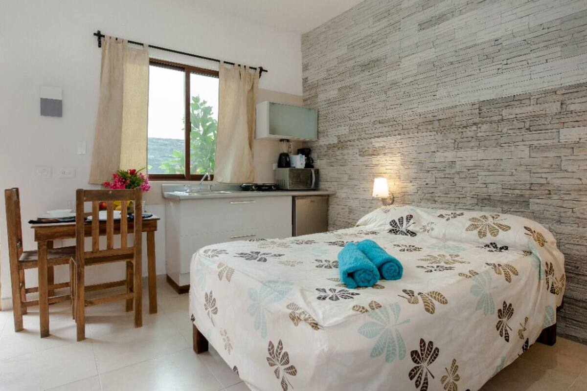 Studio Classique | 1 chambre, minibar, fer et planche à repasser, Wi-Fi gratuit