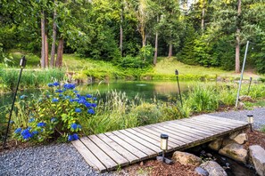 A wooden dock extending over a pond with surrounding greenery and trees.