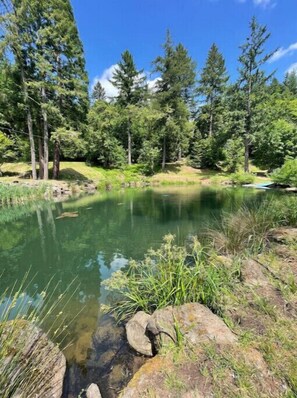 Jardines del alojamiento