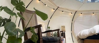 Stargazing Glamping Swim Oasis