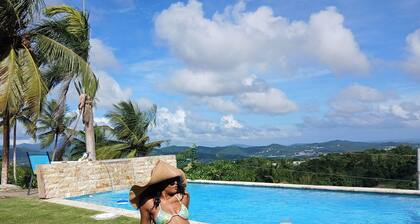 Swim & Paint Art Retreat/Adventures