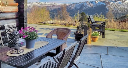 4 bedroom awesome home in Uvdal