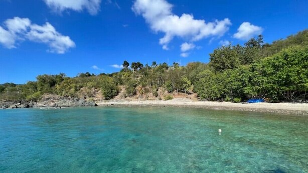 A clear coastal view with a sandy beach and dense greenery. - A Private Space by Villa Sunbeam. (St. Thomas)