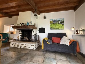 TV, fireplace - Artegia - Sainte-engrace (SAINTE-ENGRACE)