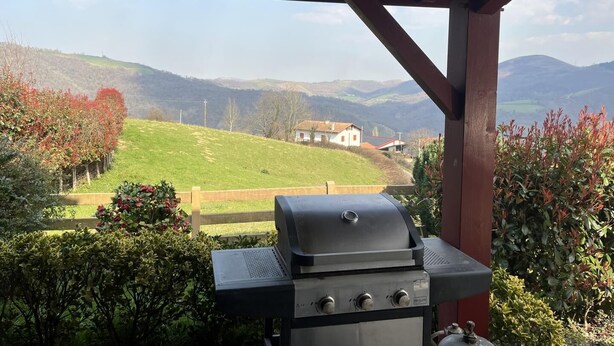 Een overdekt buitengebied met een barbecue, omgeven door groen en uitzicht op glooiende heuvels en een huis in de verte.