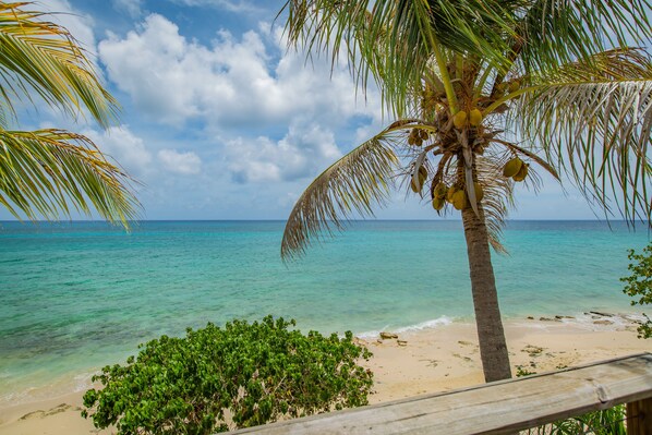 A beach with a palm tree and clear turquoise water.