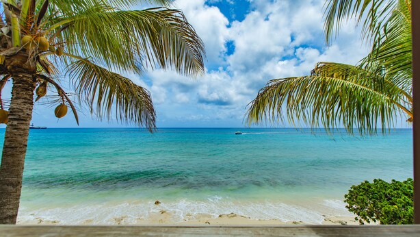 A wooden deck overlooking a beach with clear turquoise water, palm trees, and a distant boat.