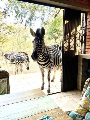 Beautiful modern home in the African bush, next to the Kruger National Park.