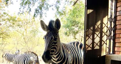 Beautiful modern home in the African bush, next to the Kruger National Park.