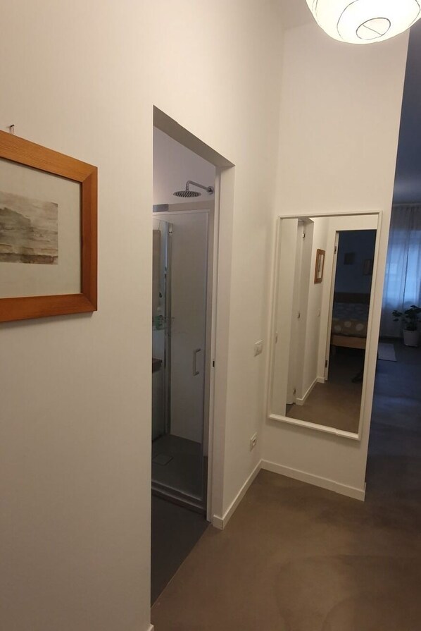 Un passadís amb un quadre emmarcat, una porta de dutxa de vidre i un mirall que reflecteix un dormitori.