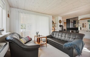 تلفزيون، مدفأة