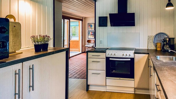 A compact kitchen with a stove, oven, and sink. There is a potted plant on the counter and a chair near the door. - Lovely home in Hemmet with WiFi (Hemmet)