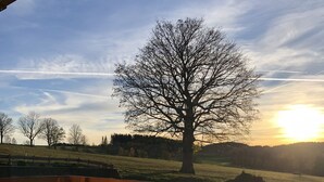 Eine Holzterrasse mit Blumentöpfen, die auf eine Landschaft mit einem großen Baum und einem Sonnenuntergang blickt.