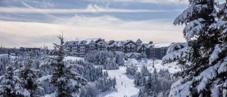 A snow-covered lodge with multiple buildings, surrounded by dense forest.