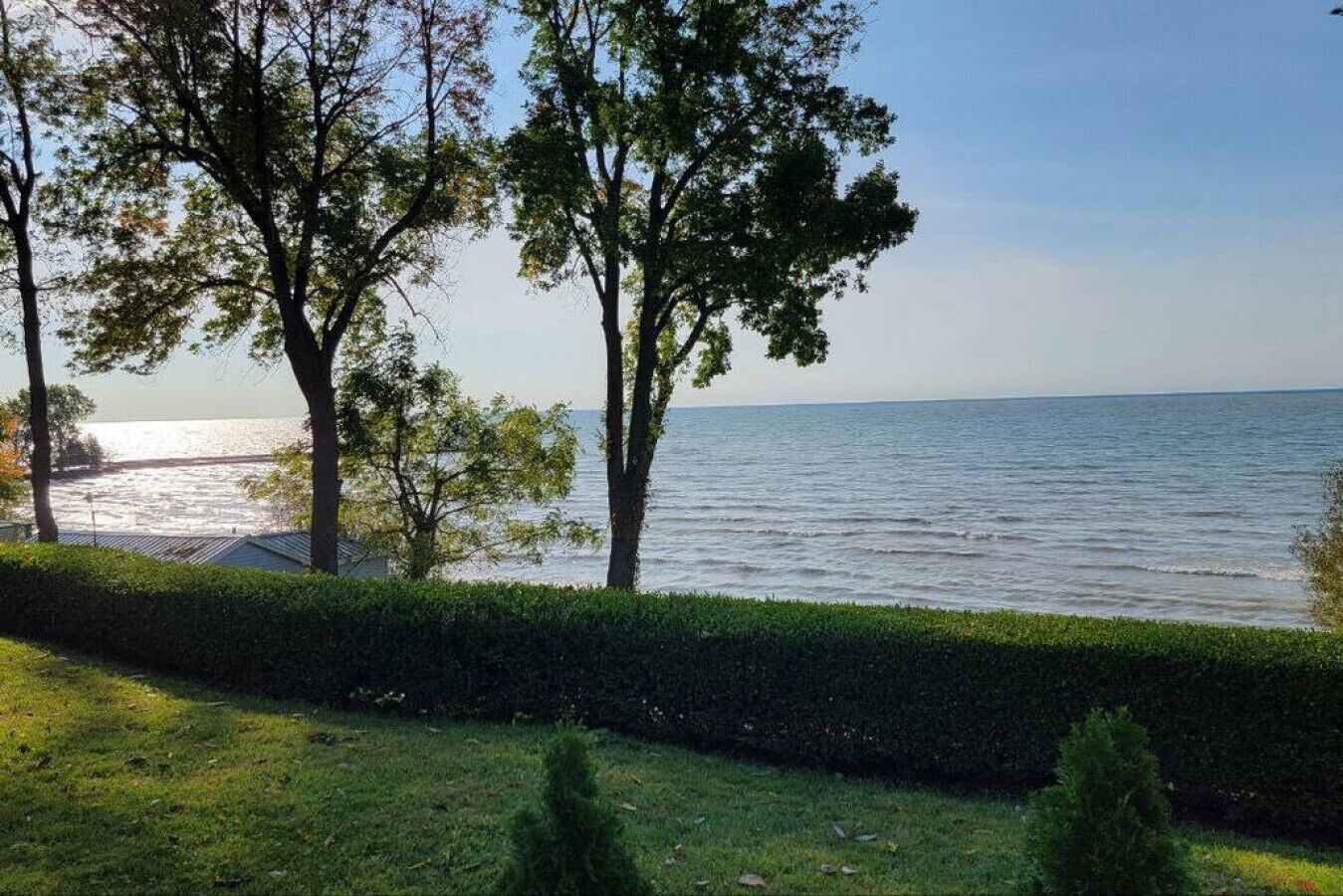 A coastal landscape with trees and a hedge in the foreground, leading to a view of the sea.