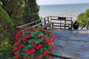 Imagen sin descripción, 5 de 40, botón