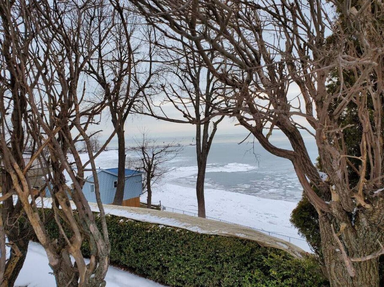 Un paysage enneigé, avec des arbres sans feuilles et une étendue d’eau visible au loin.