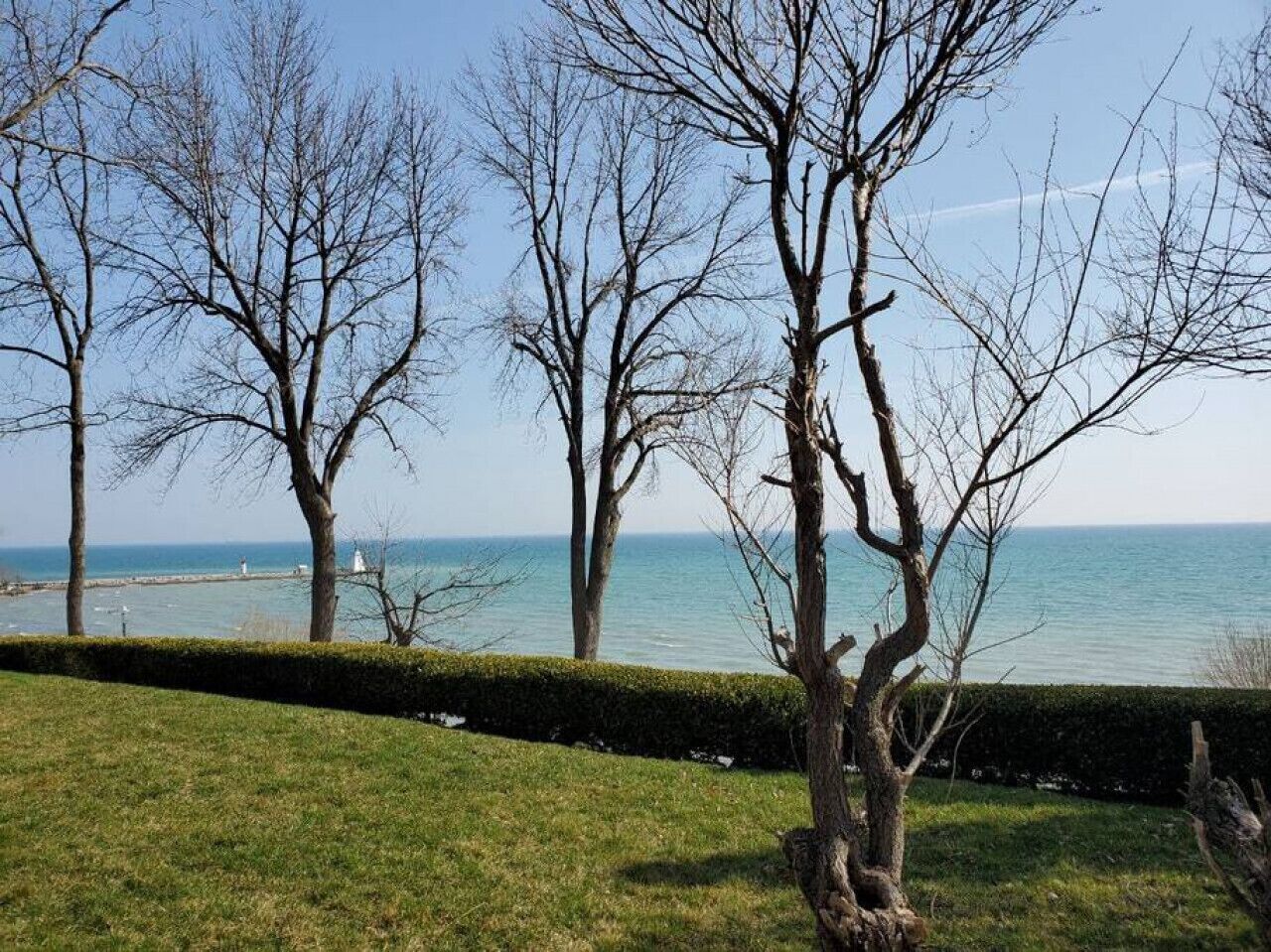 Un paysage côtier avec des arbres sans feuilles et une vue sur la mer.