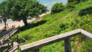 A coastal view with a wooden staircase leading down to a beach, surrounded by lush greenery and a clear blue sky.