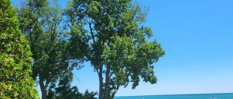 Una spiaggia nelle vicinanze