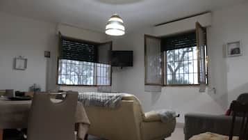 Fernseher, Kamin