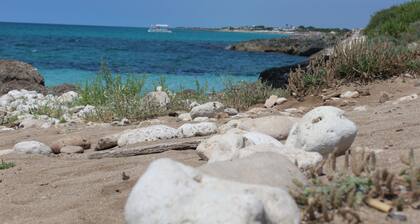 Villa by the sea and with a fantastic green garden!
