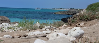 Villa by the sea and with a fantastic green garden!