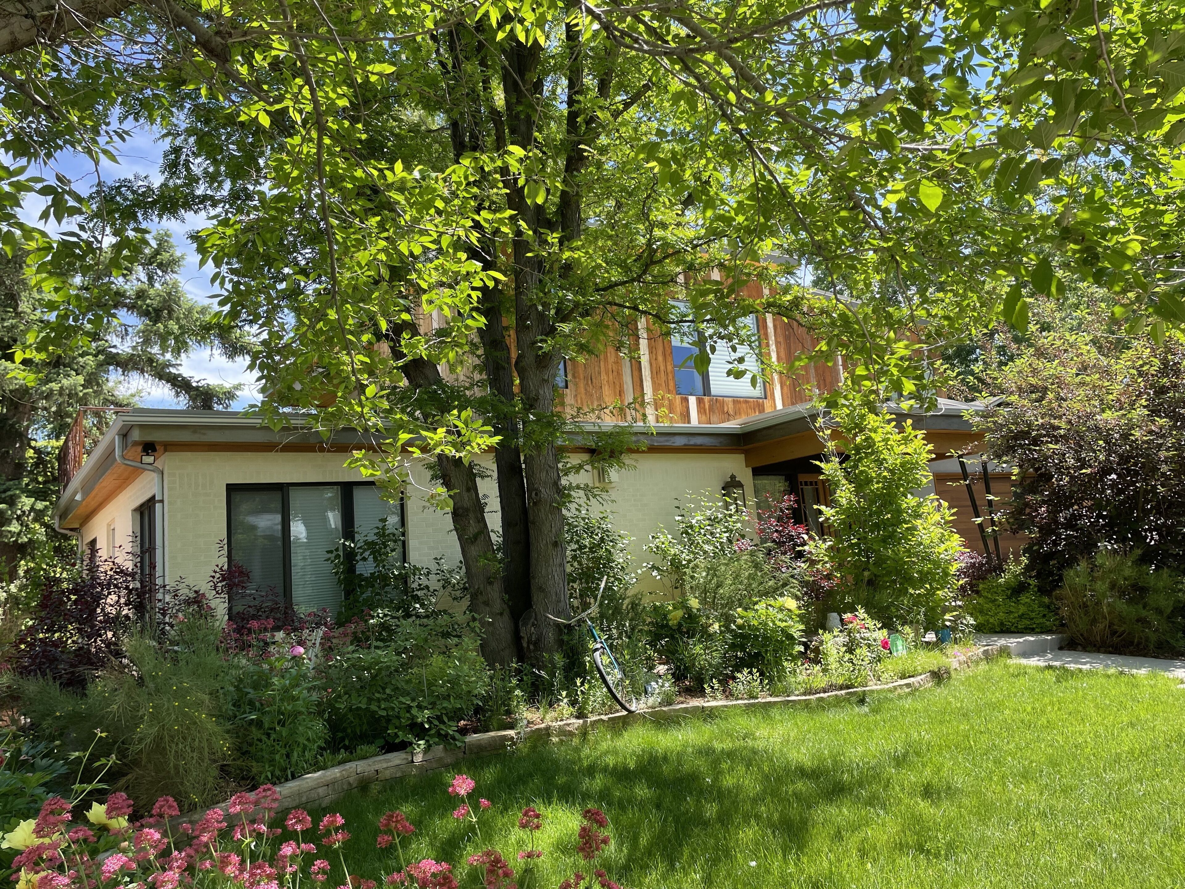 Una casa moderna con un gran árbol en el jardín delantero, rodeada de diversas plantas y flores.