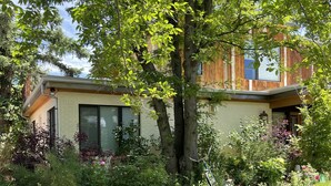 A modern house with a large tree in the front yard, surrounded by lush greenery and pink flowers. - Beautiful newly updated home in Boulder! Entrance on side of house up stairs. (Boulder)