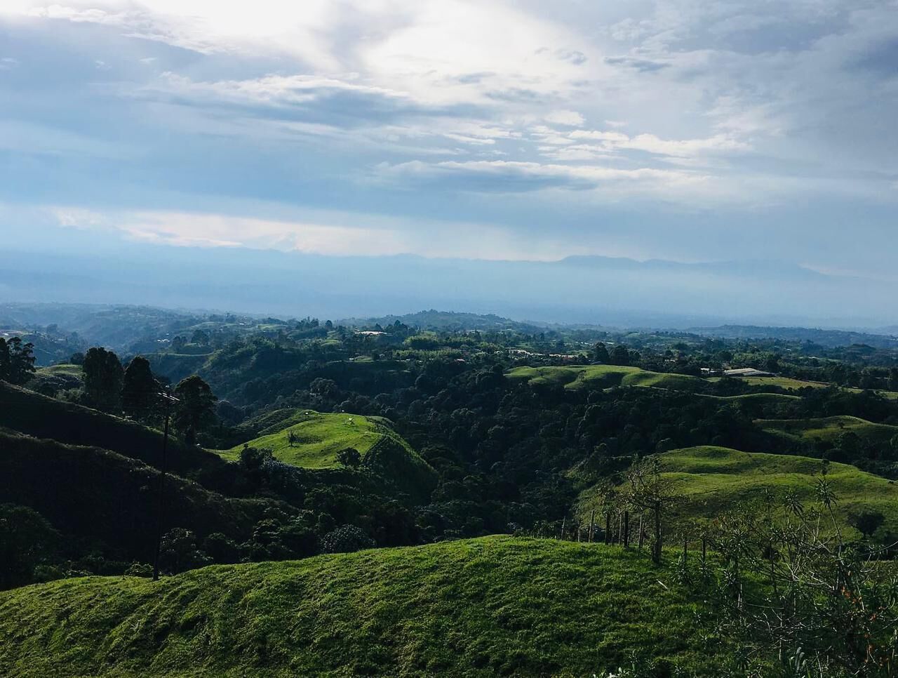 Una vista panorámica de un valle exuberante y verde con colinas onduladas y árboles dispersos.