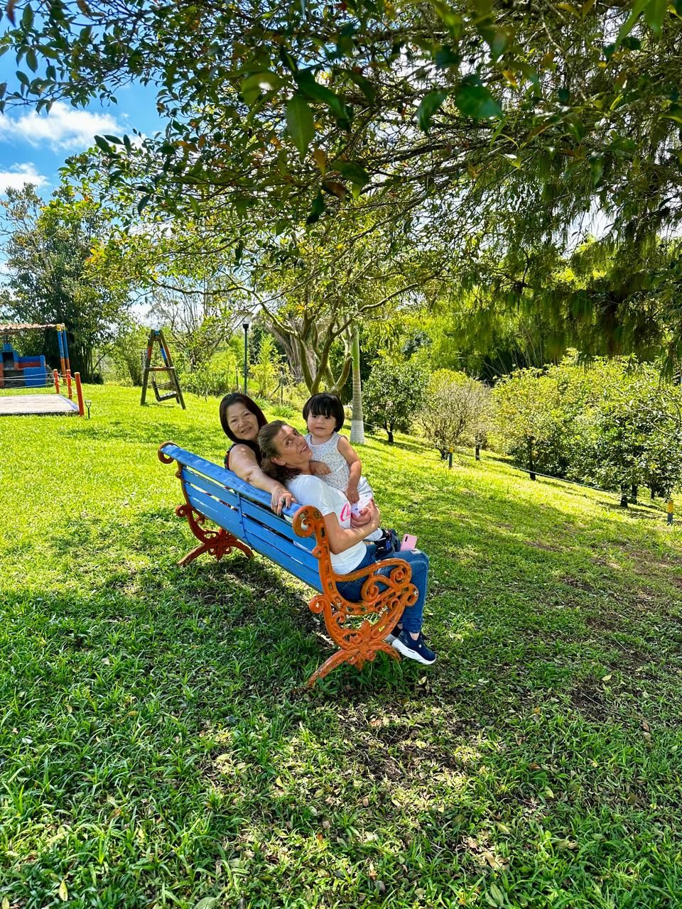 Un banco en un parque rodeado de follaje.