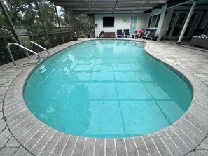 Pool - Coastal Palm Harbor Private Home w/ Pool near downtown, beaches & more (Palm Harbor)