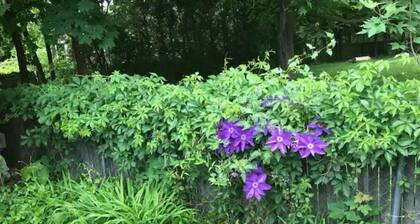 Burlington Hills Family Home