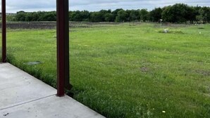 A covered outdoor area with a concrete floor and metal beams, overlooking a grassy field with trees in the background. - Cuddly Critters Cottage - Alpacas, Goats, Emu's and YOU! (Blue Ridge)
