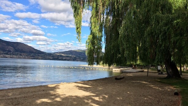 Una playa arenosa con un sauce, un lago y montañas a la distancia.