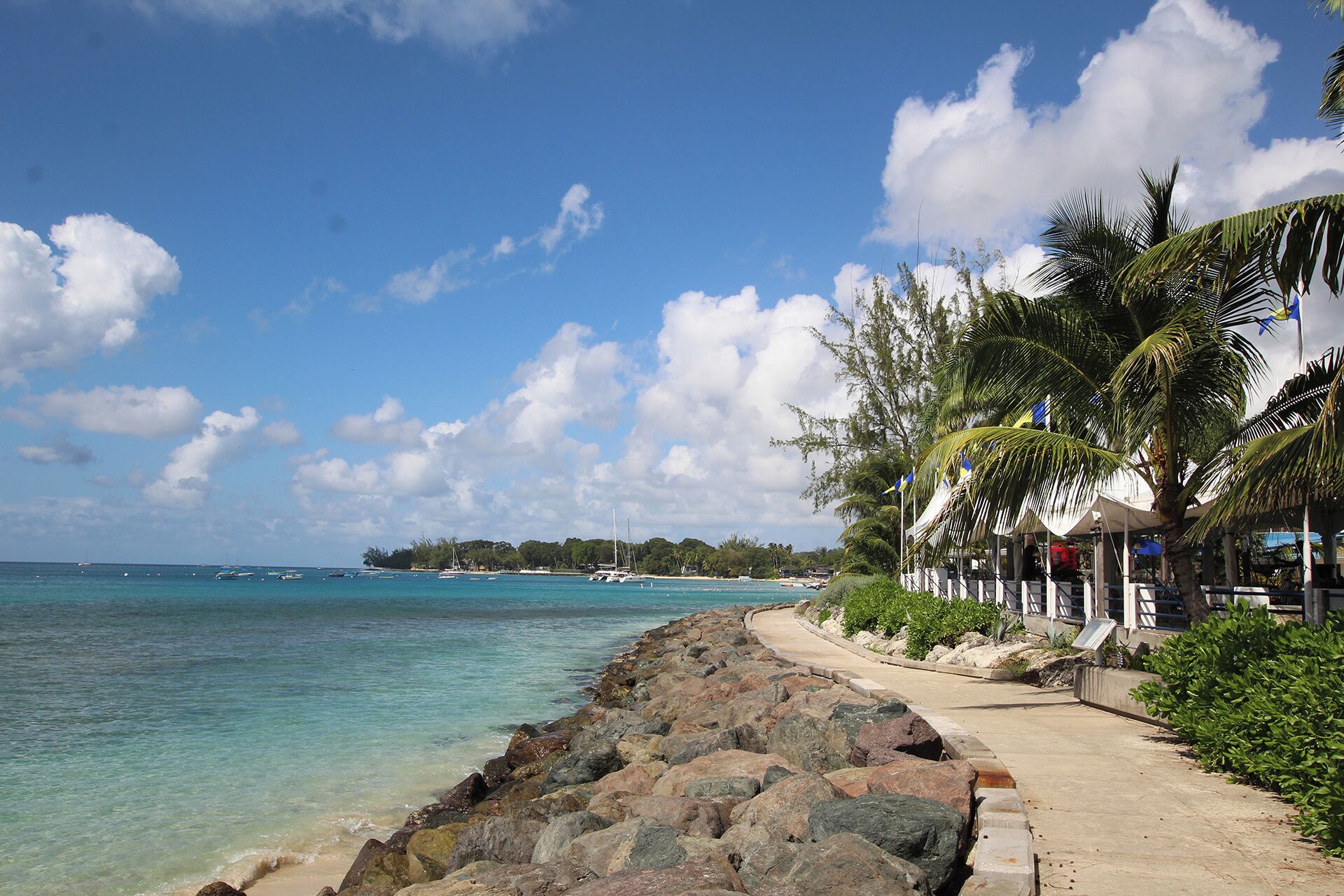 A coastal walkway with a rocky shoreline, palm trees, and a clear view of the ocean.