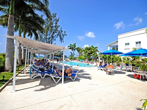Un espace aménagé au bord de la piscine, avec des chaises longues et des parasols, entouré de palmiers et surplombé d’un ciel dégagé.